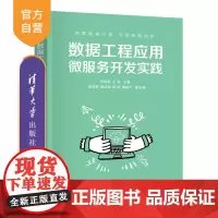 [正版新书]数据工程应用微服务开发实践 马武彬、王锐、吴亚辉 清华大学出版社 数据工程