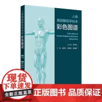 人体局部解剖学标本彩色图谱 2024年8月参考书
