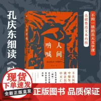 人间呐喊 解读鲁迅《呐喊》 孔庆东 著 中国现当代文学理论 文学 北京大学出版社