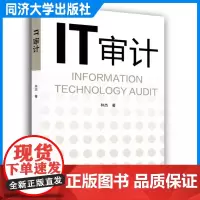 IT审计 基本概念、目标的基础 三维框架 林杰 同济大学出版社