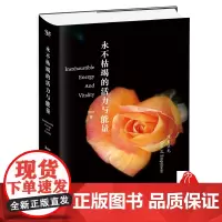 永不枯竭的活力与能量