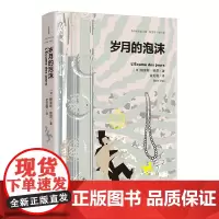 岁月的泡沫(外国名作家文集 鲍里斯·维昂卷:《岁月的泡沫》《空心人》《李·安德森的复仇》《红草》)