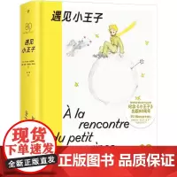 遇见小王子 (法)阿尔邦·塞里西埃,(法)安娜·莫尼埃·范里布 著 法小珂 译 外国现当代文学 文学 中国友谊出版公司
