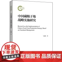 中国藏粮于地战略实施研究