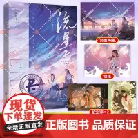 流星2[随书附赠海报+信纸+拍立得卡]酒暖春深著 原名金牌归你你归我 高燃体育竞技题材双强热血青春双女主小说