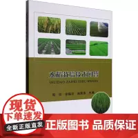 水稻栽培技术问答 周玮,徐福志,赵荣伟 编 农业基础科学专业科技 正版图书籍 哈尔滨出版社