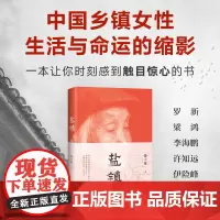 盐镇 易小荷 Di一本深度书写中国乡镇女性的生活与命运的佳作,罗新、梁鸿、等赤诚!米格尔街乡下人的悲歌梁庄