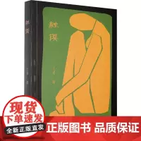 触摸 王喜 著 诗歌 文学 太白文艺出版社