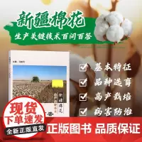 新疆棉花生产关键技术百问百答 棉花遗传育种 栽培技术书籍 棉花病虫害防治技术 农作物种植技术书籍