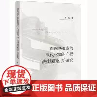 面向新业态的现代化知识产权法律规则供给研究 胡光著 法律出版社