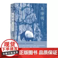 [正版]乌暗暝 黄锦树 上海文艺出版社 9787532174003