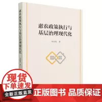 惠农政策执行与基层治理现代化