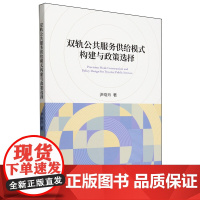 双轨公共服务供给模式构建与政策选择