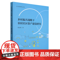 乡村振兴战略下农村社区资产建设研究