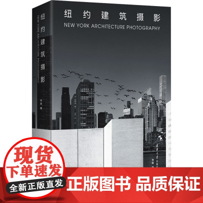 纽约建筑摄影 老阎 著 摄影作品 艺术 清华大学出版社