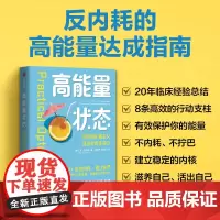 高能量状态 保护好自己的能量 走出内耗建立边界 苏·瓦尔玛 著 反内耗心理学/躲在蚊子后面的大象/允许一切发生同类作品