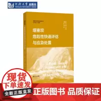 堰塞坝危险性快速评估与应急处置