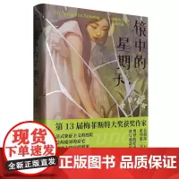 [正版]镜中的星期天 (日)殊能将之 台海出版社 9787516838648