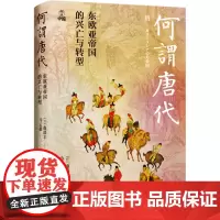 何谓唐代 东欧亚帝国的兴亡与转型 森部丰 著 北京大学荣新江教授作序 完整覆盖唐朝二百九十年历史 浙江人民出版社