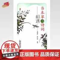 当本草与诗词相遇 王诗源 尹永田 主编 中国中医药出版社