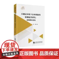 不确定环境下企业创新的资源配置研究