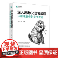 深入浅出Go语言编程:从原理解析到实战进阶