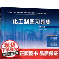 化工制图习题集 第六版:胡建生 编 大中专理科化工 大中专 化学工业出版社