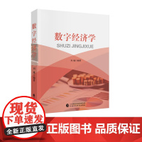 数字经济学 刘越 编著