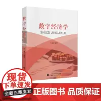 数字经济学 刘越 编著