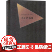 真正的疾风 沙代 著 散文 文学 百花洲文艺出版社