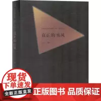真正的疾风 沙代 著 散文 文学 百花洲文艺出版社