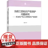 当前江苏知识产权保护问题研究——从知识产权大省到知识产权强省 董新凯 著 法学理论社科 正版图书籍 知识产权出版社