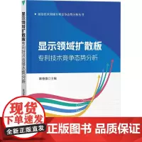 显示领域扩散板专利技术竞争态势分析 陈柏强 编 民法社科 正版图书籍 知识产权出版社