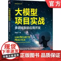 正版 大模型项目实战:多领域智能应用开发 高强文 著 10个案例通关大模型应用开发 9787111762348 机械