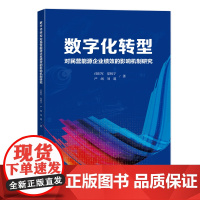 数字化转型对民营能源企业绩效的影响机制研究数字化办公助力能源企业发展