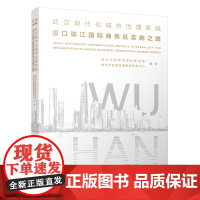 武汉现代化城市治理实践 汉口滨江国际商务区实施之路