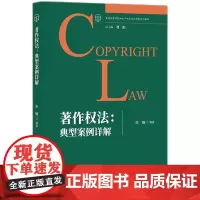 著作权法:典型案例详解