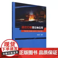 道岔打磨理论及应用