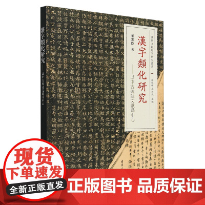 汉字类化研究:以中古碑志文献为中心