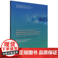 地下矿山开采中全长黏结锚杆支护理论模型及数值计算研究=Analytical and Numerical Modellin