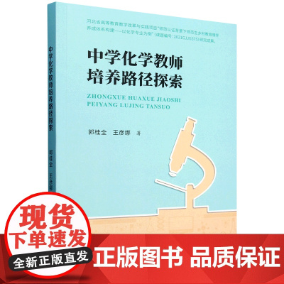 中学化学教师培养路径探索
