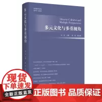 多元文化与多重视角 周宪 主编 陈勇 副主编 三联书店店