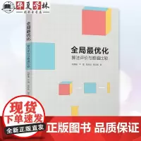 全局最优化 算法评价与数值比较 刘群锋 严圆 陈彩凤 景云鹏 全局最优化算法理论书籍 清华大学出版社 978730267