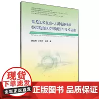黑龙江多宝山-大新屯铜金矿整装勘查区专项填图与技术应用