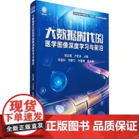 大数据时代的医学图像深度学习与前沿:主编:张红梅、卢虹冰;副主编:吕孟叶、刘梦汀、许夏瑜 著 大中专理科医药卫生 大中专