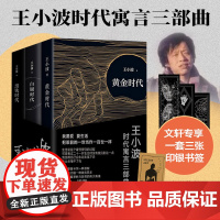 王小波时代寓言三部曲:《黄金时代》《白银时代》《黑铁时代》(全3册) 王小波 著 作家作品集 文学 北京十月文艺出版社