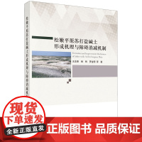 松嫩平原苏打盐碱土形成机理与障碍消减机制