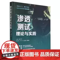 渗透测试理论与实践