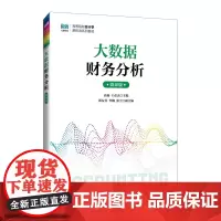 大数据财务分析:微课版