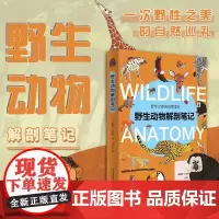 野生动物解剖笔记 全景图说野生动物百科中小学生科普读物 500幅精细的科学手绘插图